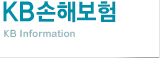 KB �Ұ�